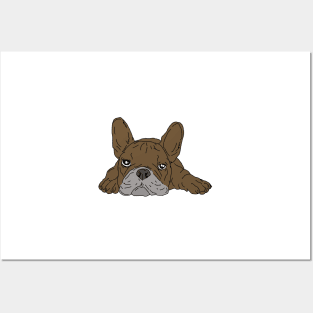 Brown french bulldog Posters and Art